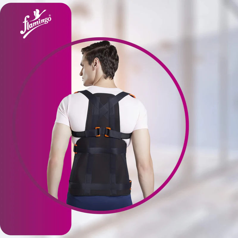 Dorsolumbar Spinal Brace (Taylors Brace)