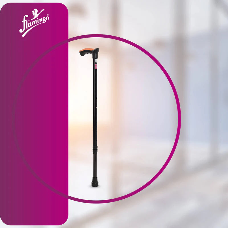 WALKING STICK SINGLE